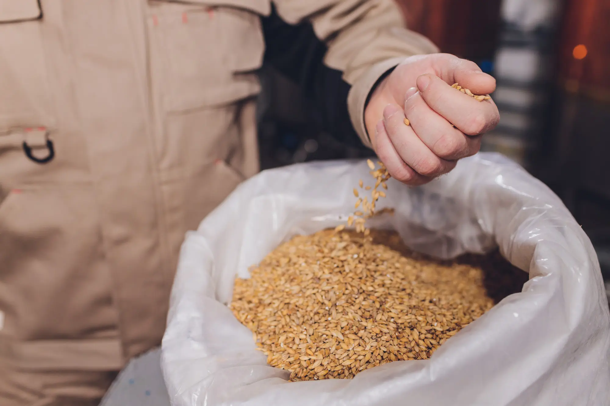 Закуп зерна у фермеров и производителей Казахстана