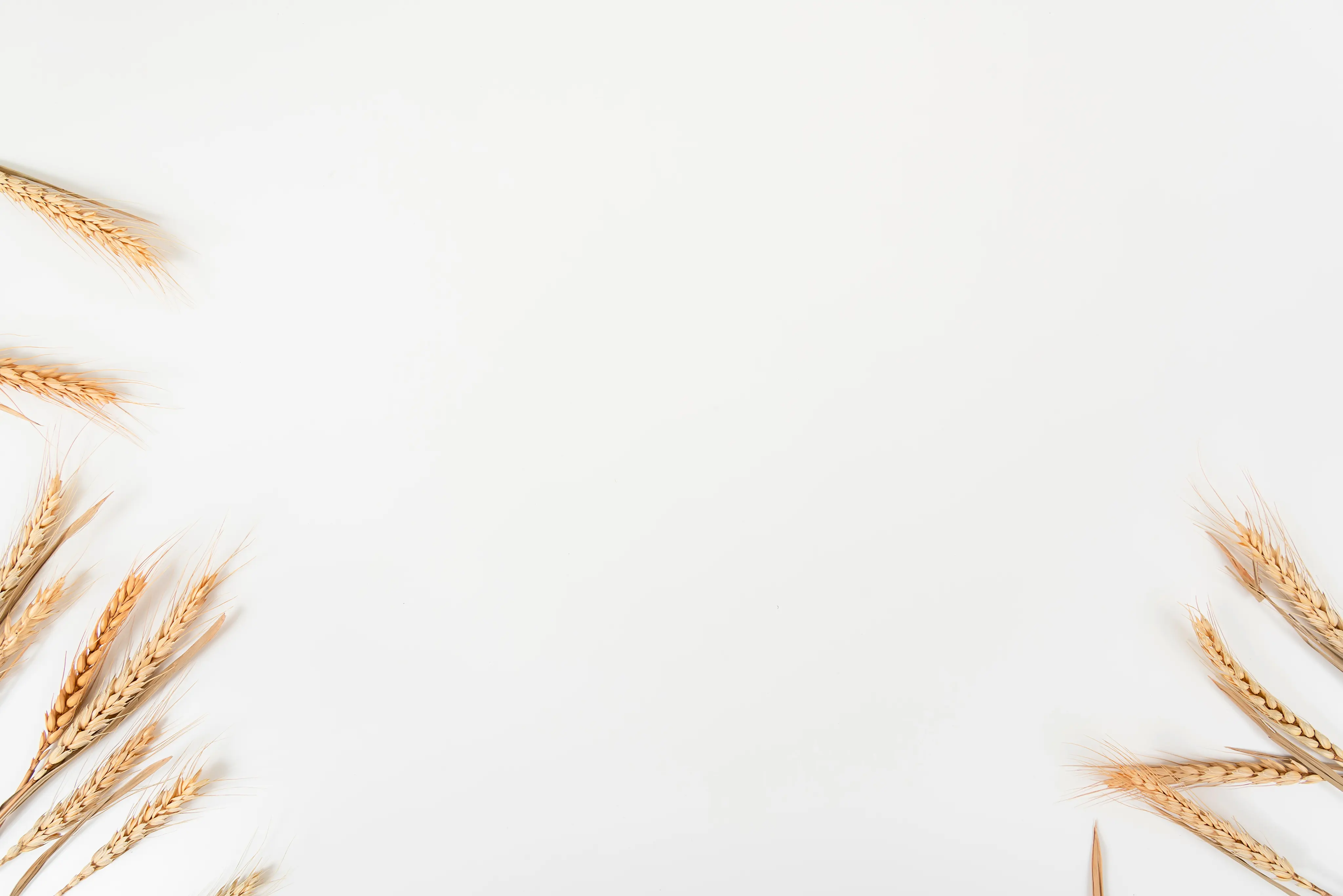 Этапы зернового трейдинга TMK — закуп, хранение, логистика, экспорт